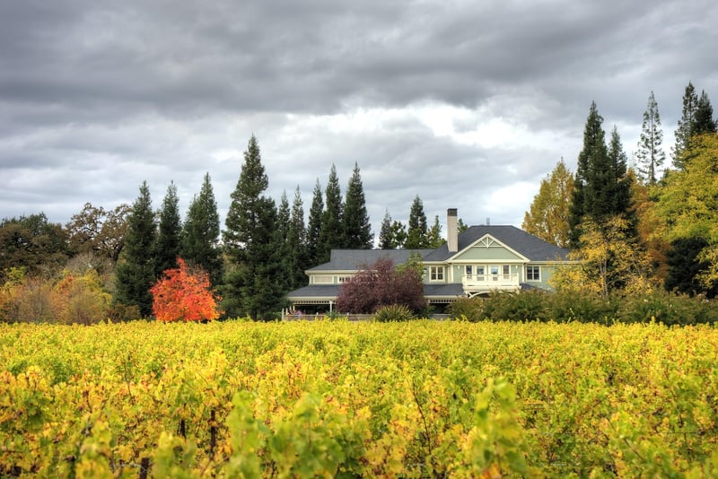 Napa Valley, California